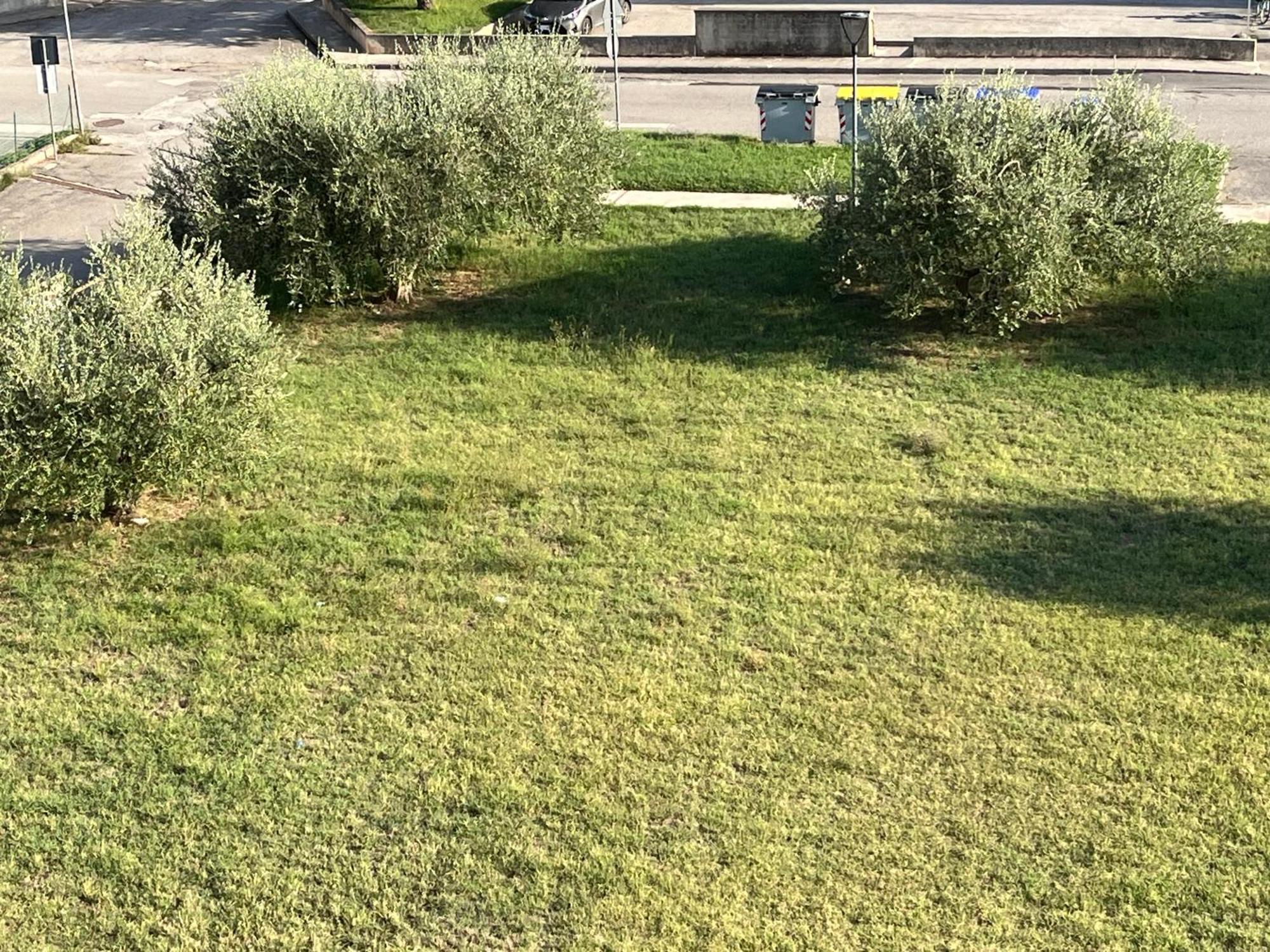 Casa Ivana Castiglione del Lago Exteriér fotografie